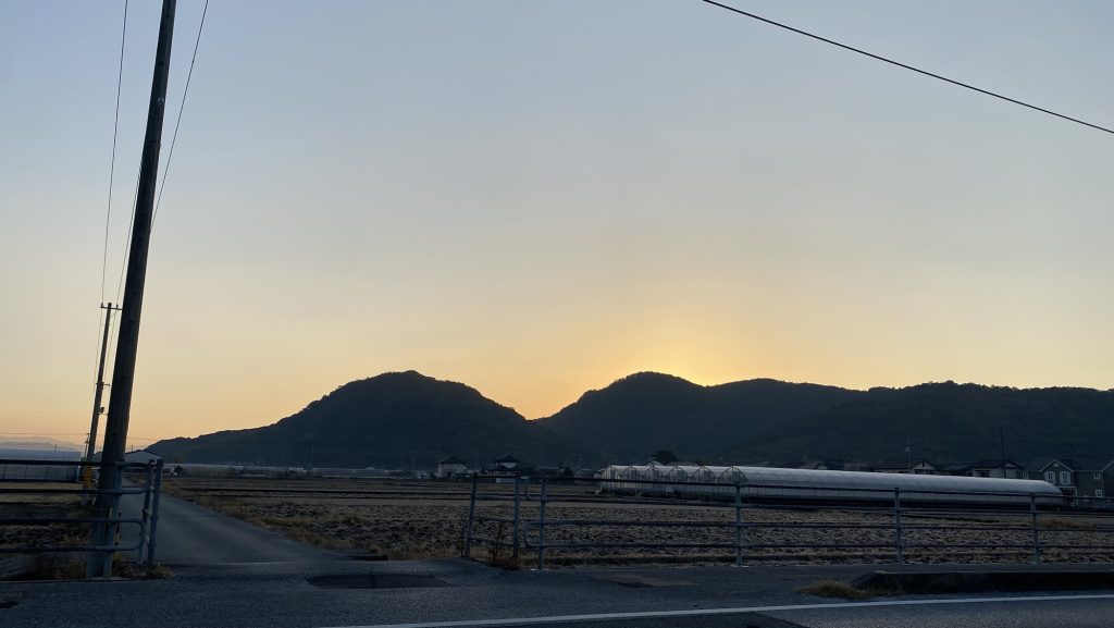 まだまだ馬車馬