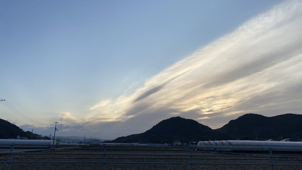 ど、ど、ど、ドンキー