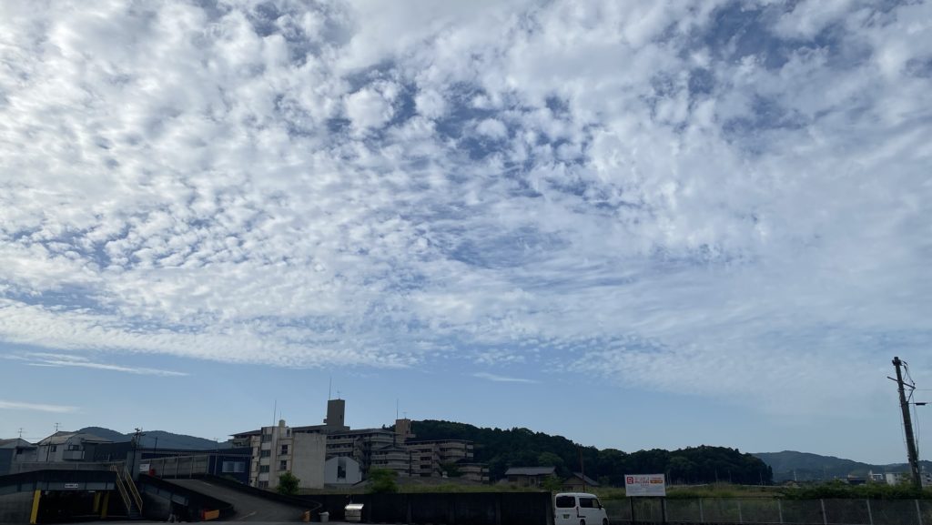 再生能力低下傾向