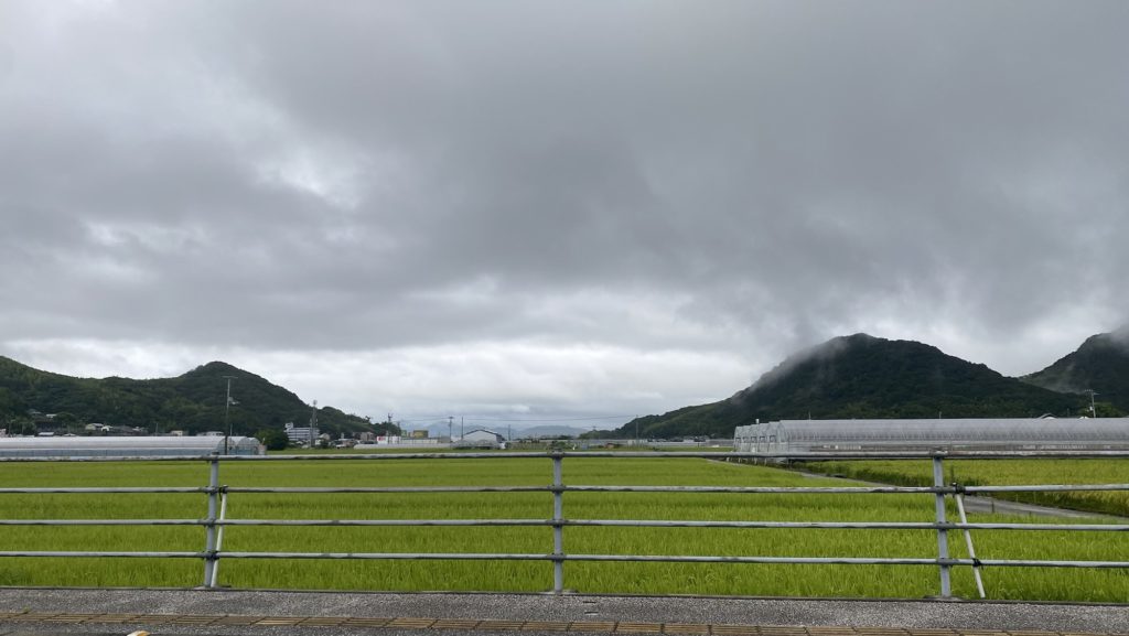 ほんの気持ち雨
