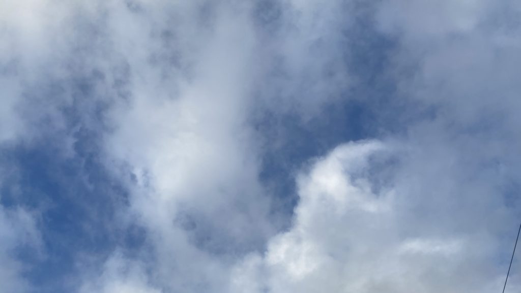 立ち向かう勇気