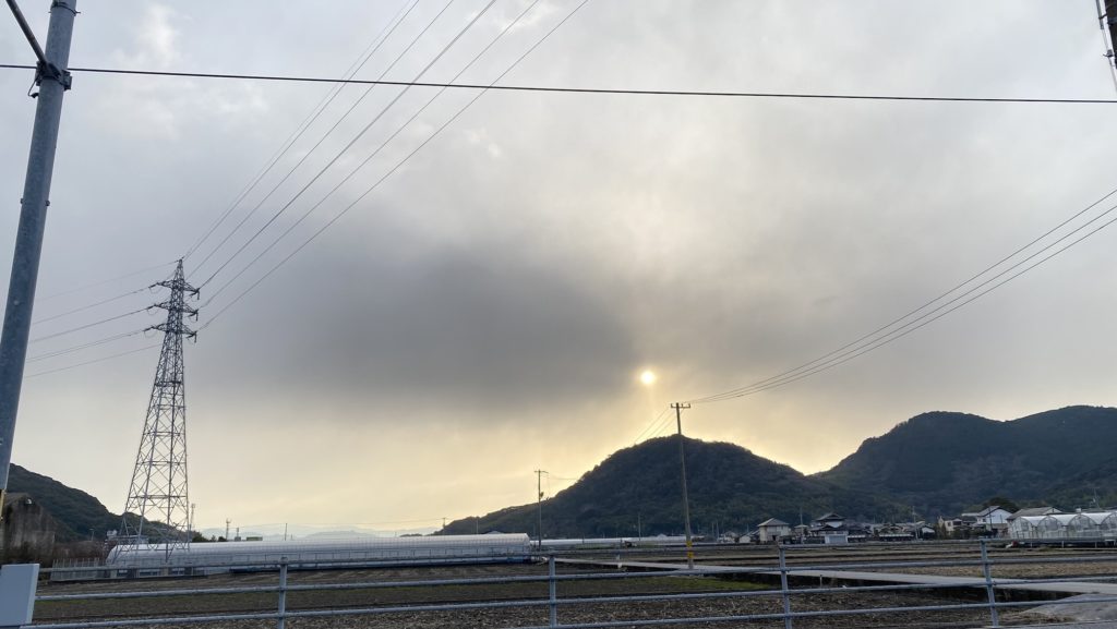 理性と判断力が強動